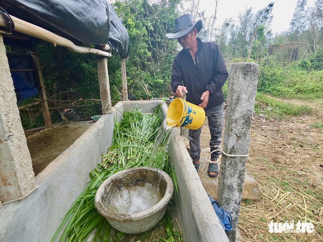 ngựa đua - Ảnh 4.