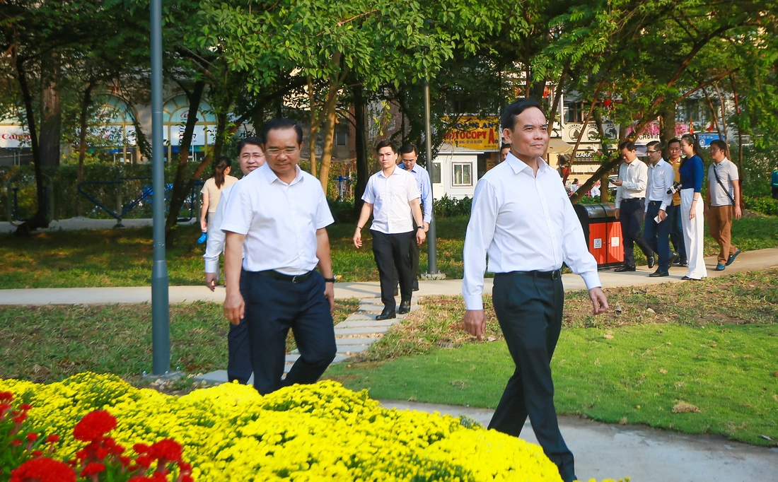 Trần Lưu Quang - Ảnh 12.