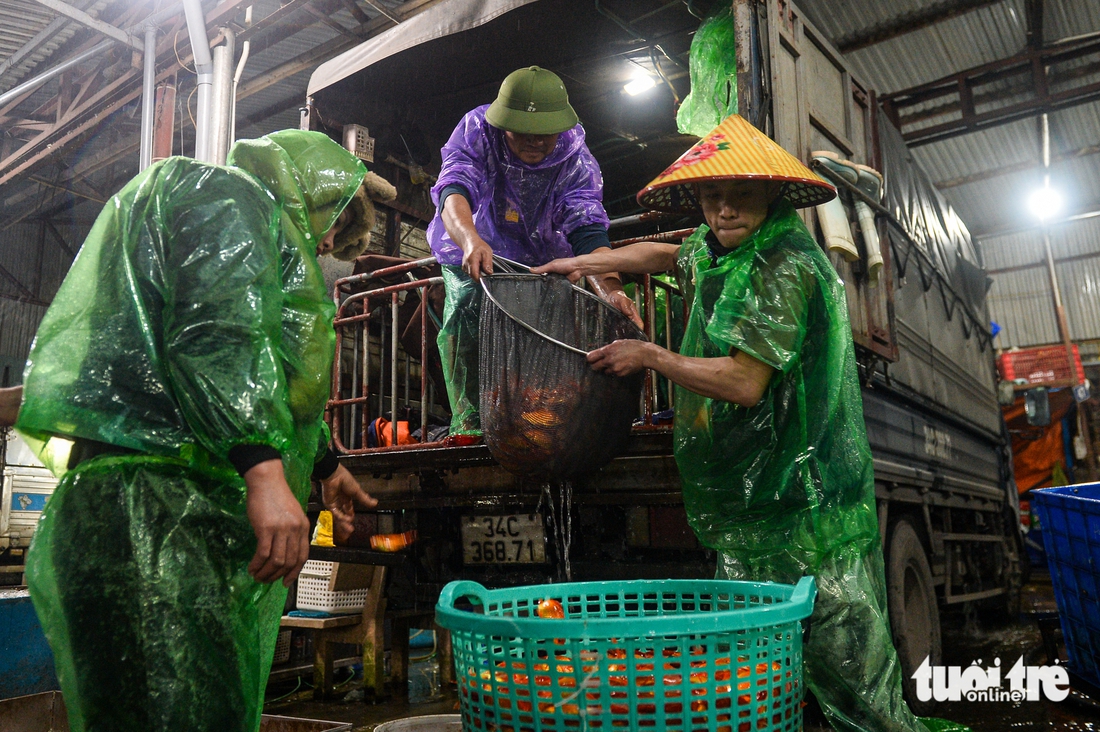 chợ cá - Ảnh 5.