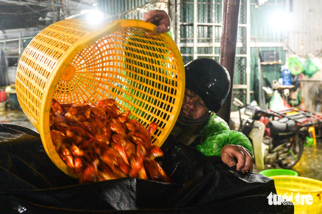 Cảnh tấp nập xuyên đêm ở chợ cá lớn nhất Hà Nội trước ngày ông Công ông Táo - Ảnh 8.