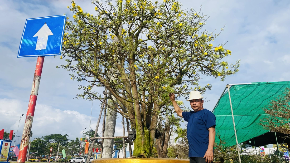 Đà Nẵng - Ảnh 4.