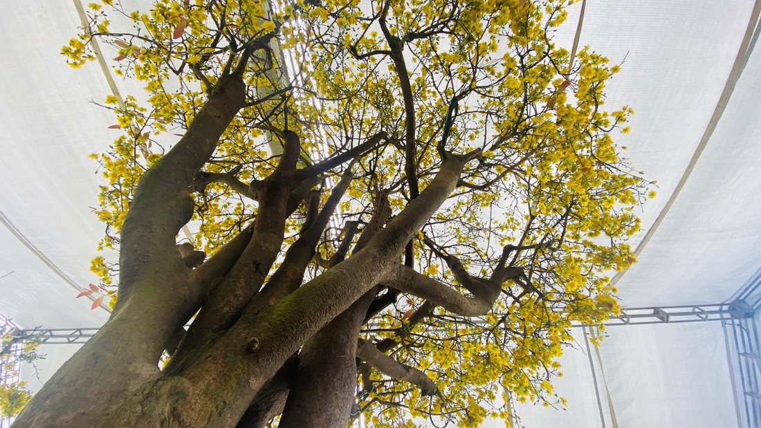 Đà Nẵng - Ảnh 3.