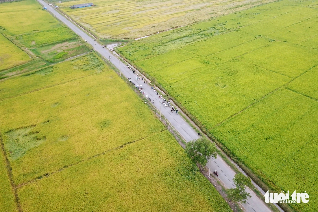 Xuân Thới Sơn - Ảnh 9.