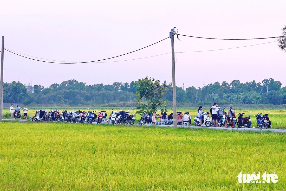 Xuân Thới Sơn - Ảnh 5.