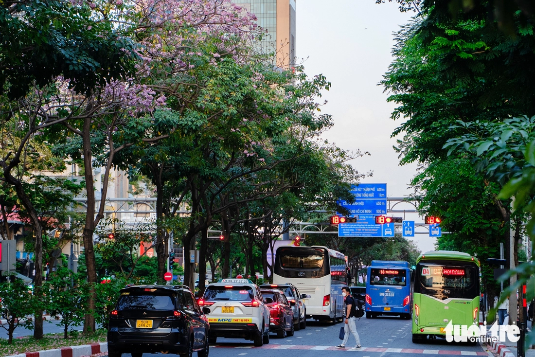 Hoa kèn hồng - Ảnh 3.