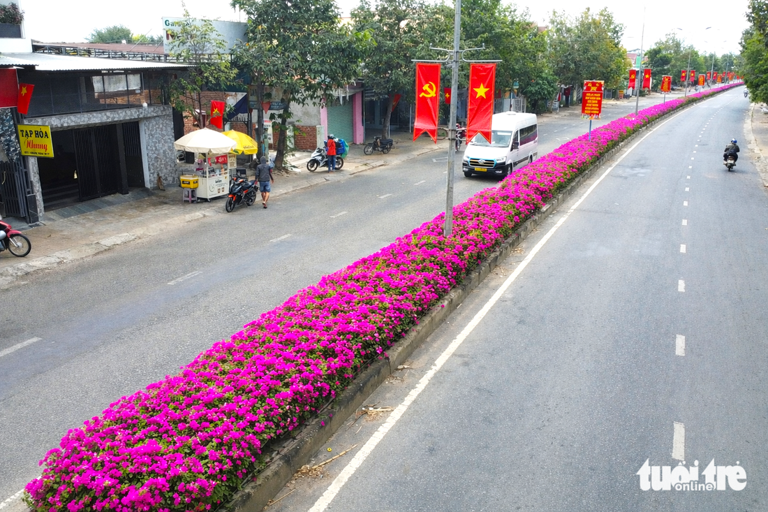 Hoa giấy - Ảnh 2.