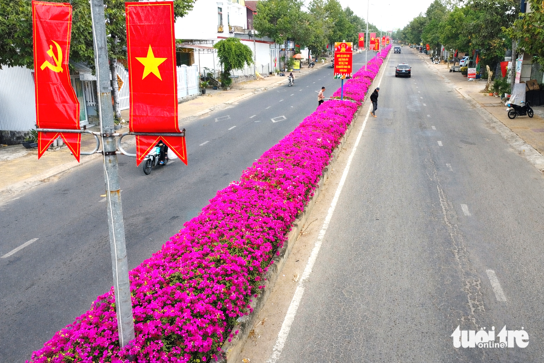 Hoa giấy - Ảnh 3.