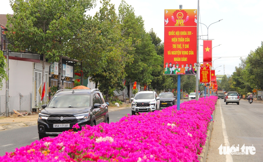 Con đường hoa giấy tím rực ở vùng cao Ninh Thuận cũ níu chân du khách - Ảnh 4.