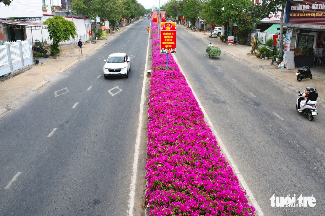 Hoa giấy - Ảnh 5.