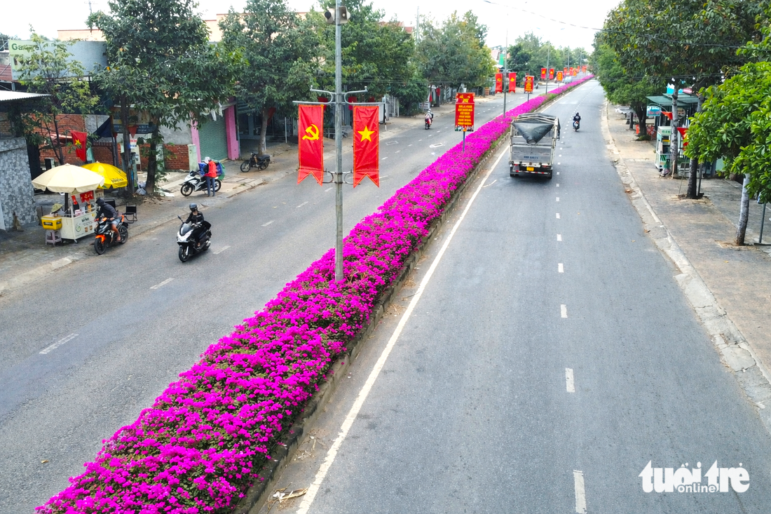 Hoa giấy - Ảnh 6.