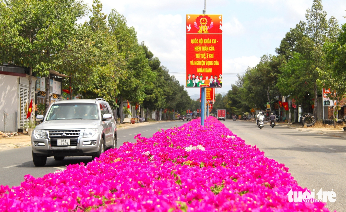 Hoa giấy - Ảnh 7.