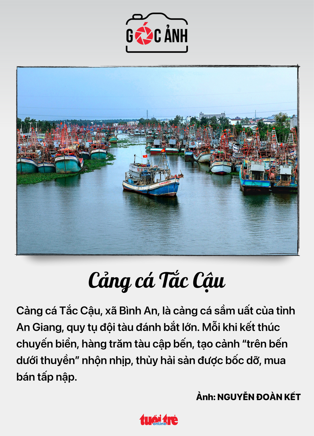 bầu cử - Ảnh 7.