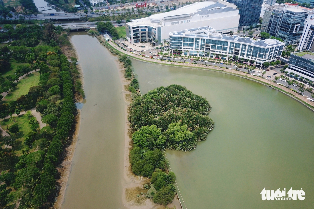 chim cổ rắn - Ảnh 12.