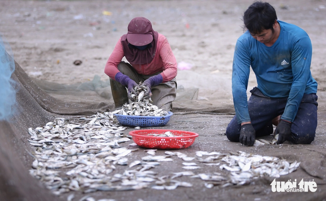 Du khách đổ xô đi ăn cá trích nướng sau clip hot rần rần trên mạng - Ảnh 3.