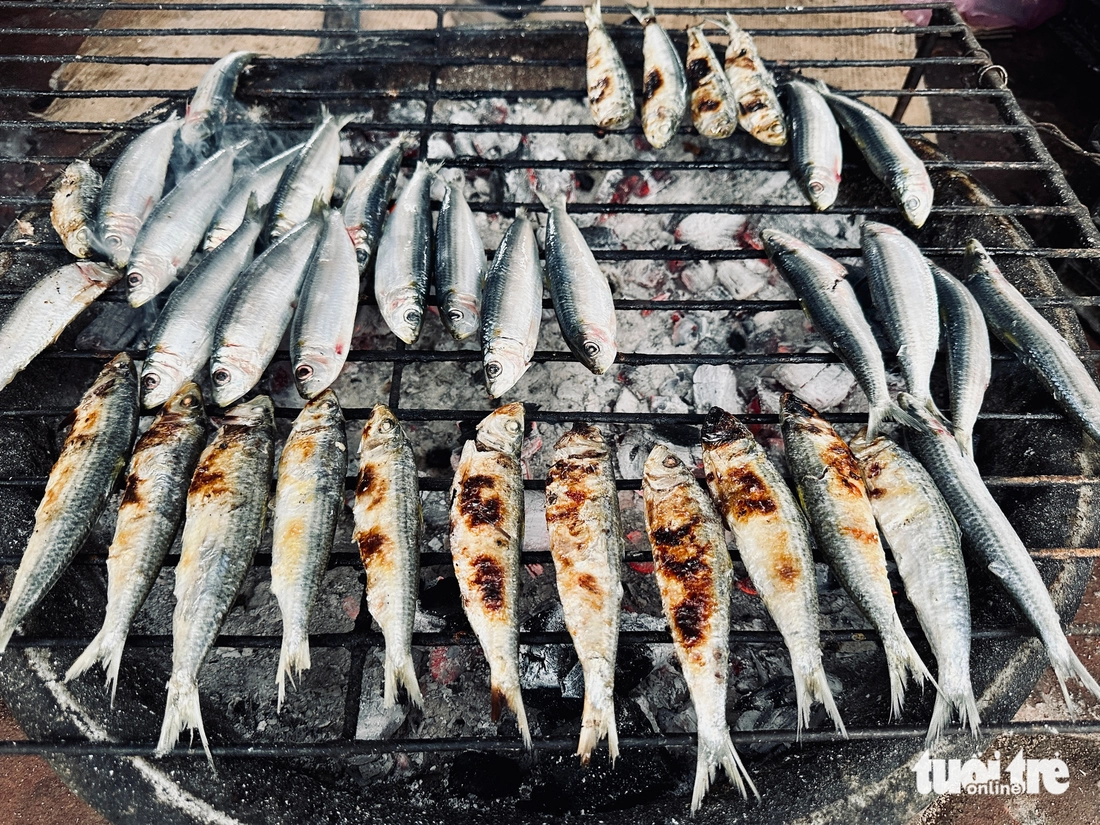 cá trích - Ảnh 8.