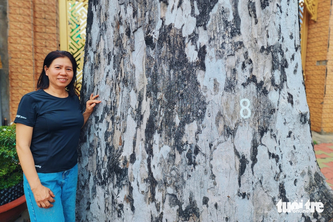 Hai cây dầu rái trăm tuổi nổi bật bên đường ở xã Đông Thạnh, TP.HCM - Ảnh 4.