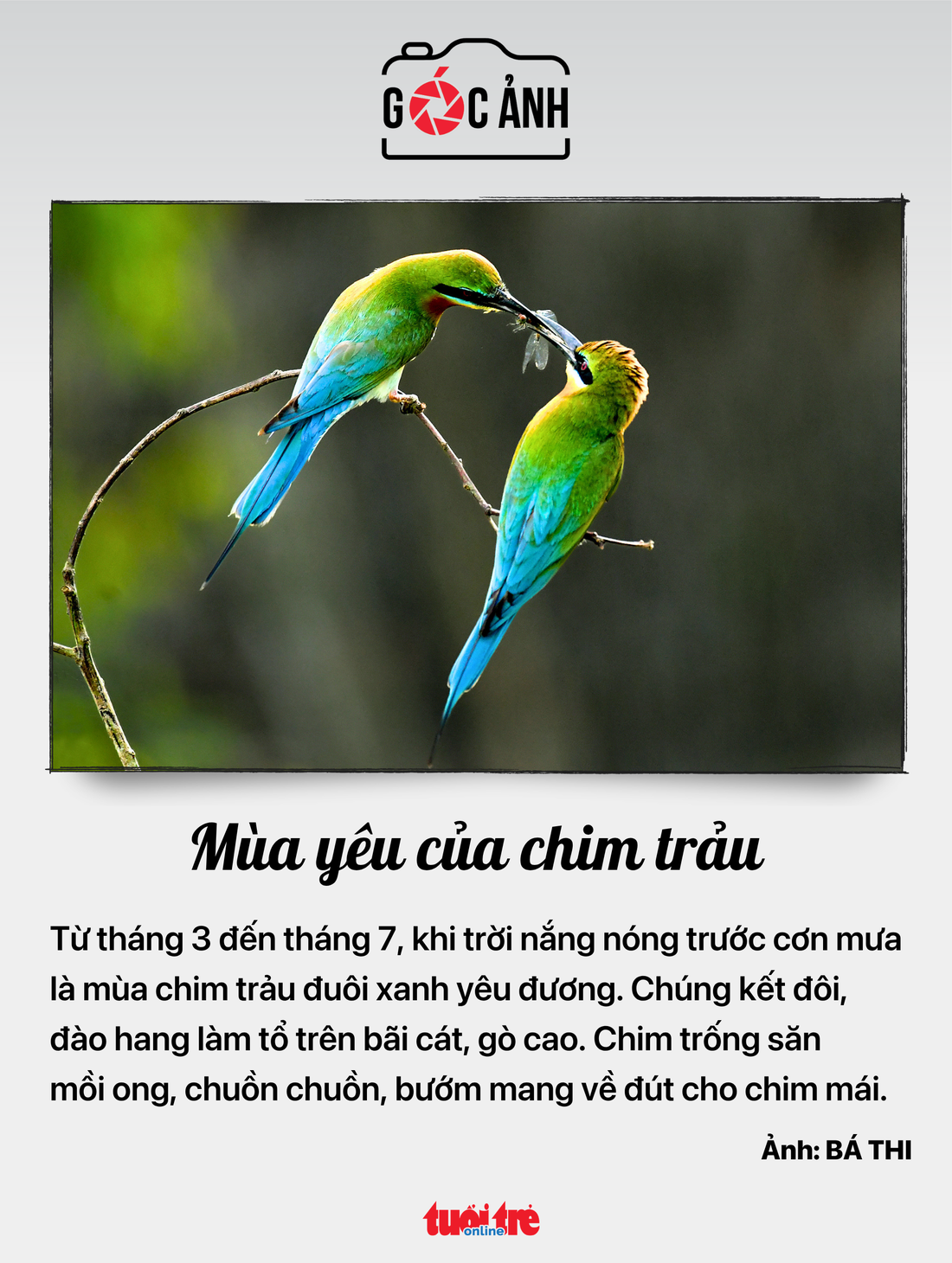 phương tiện chữa cháy - Ảnh 6.