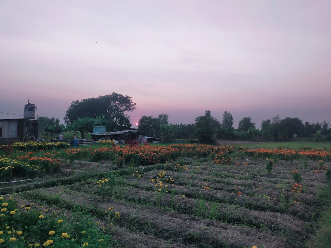 tuổi xanh - Ảnh 5.