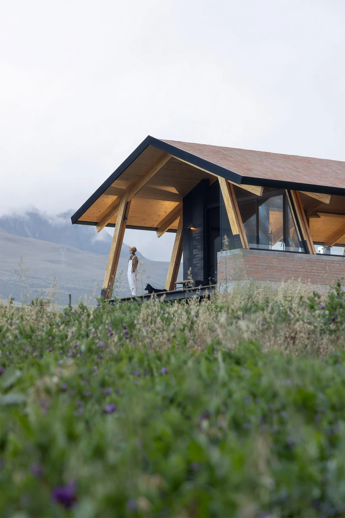 ngôi nhà - Ảnh 4.