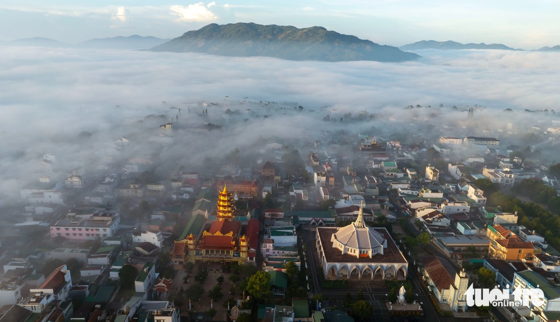 Bảo Lộc - Ảnh 2.