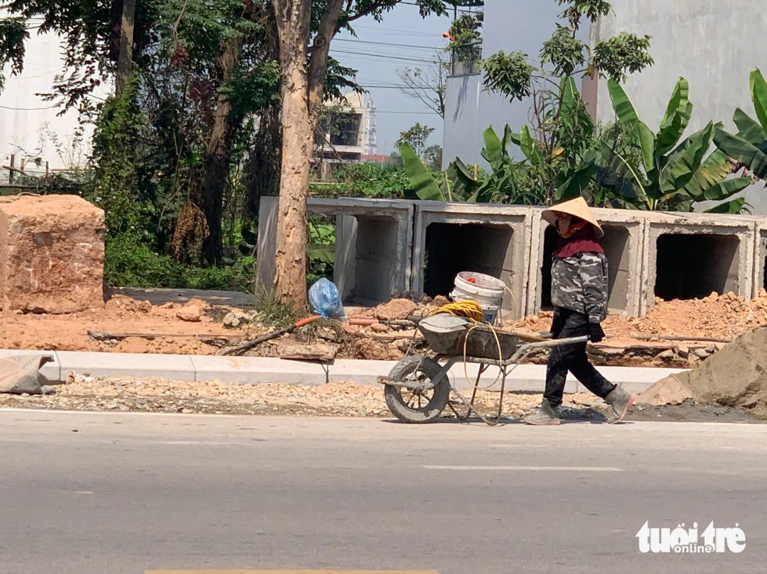 mưu sinh - Ảnh 3.