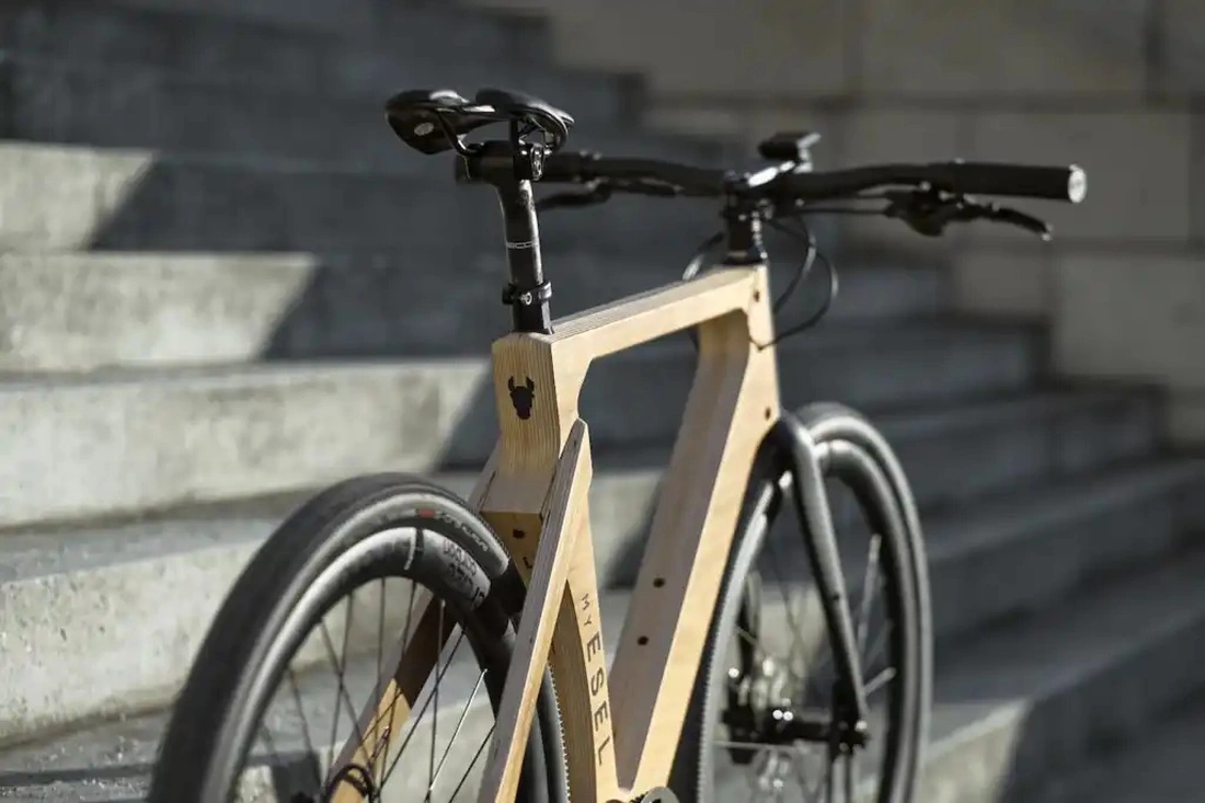 xe đạp điện - Ảnh 2.