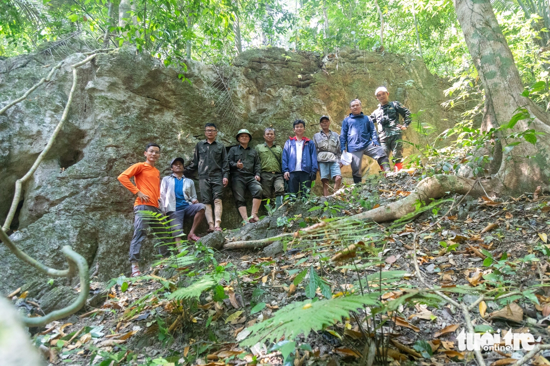 rừng nguyên sinh - Ảnh 2.
