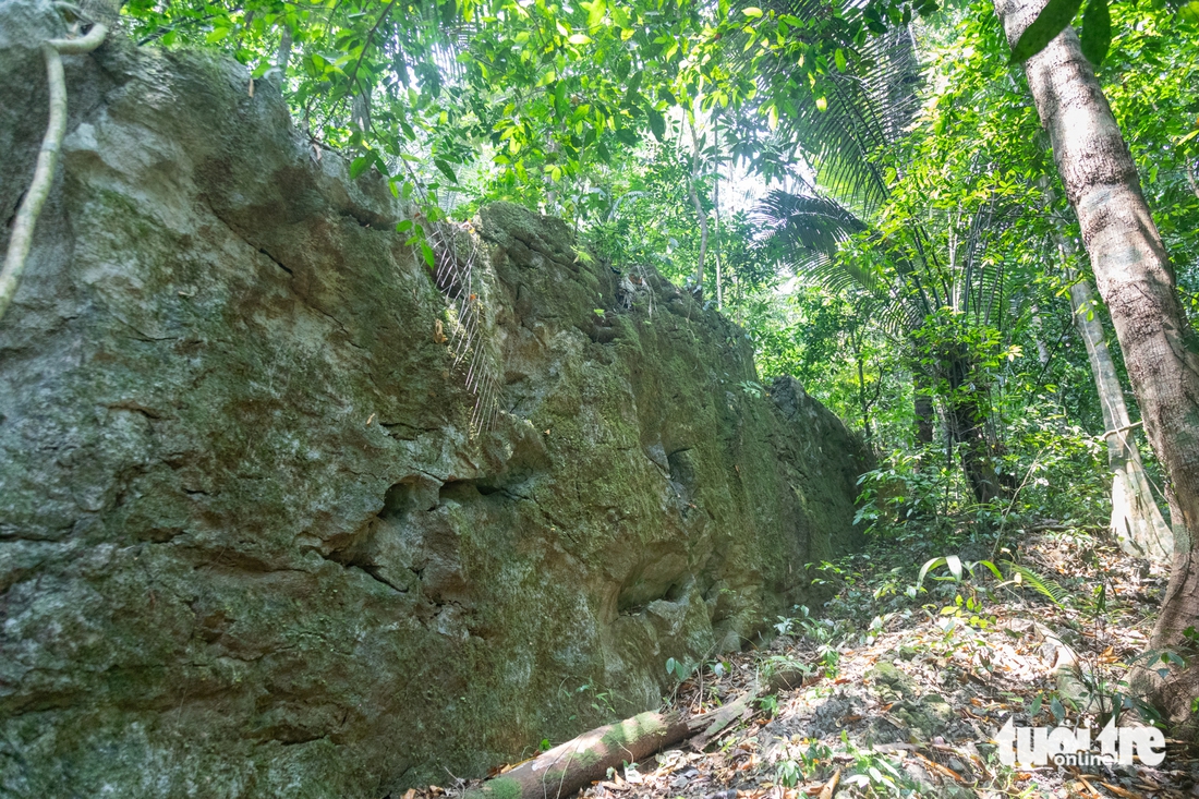 rừng nguyên sinh - Ảnh 3.