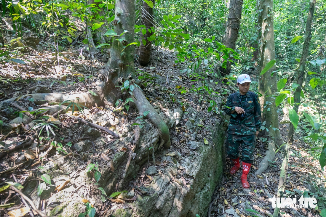 rừng nguyên sinh - Ảnh 5.