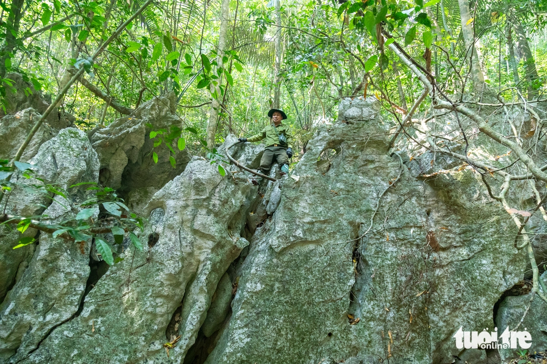 rừng nguyên sinh - Ảnh 6.