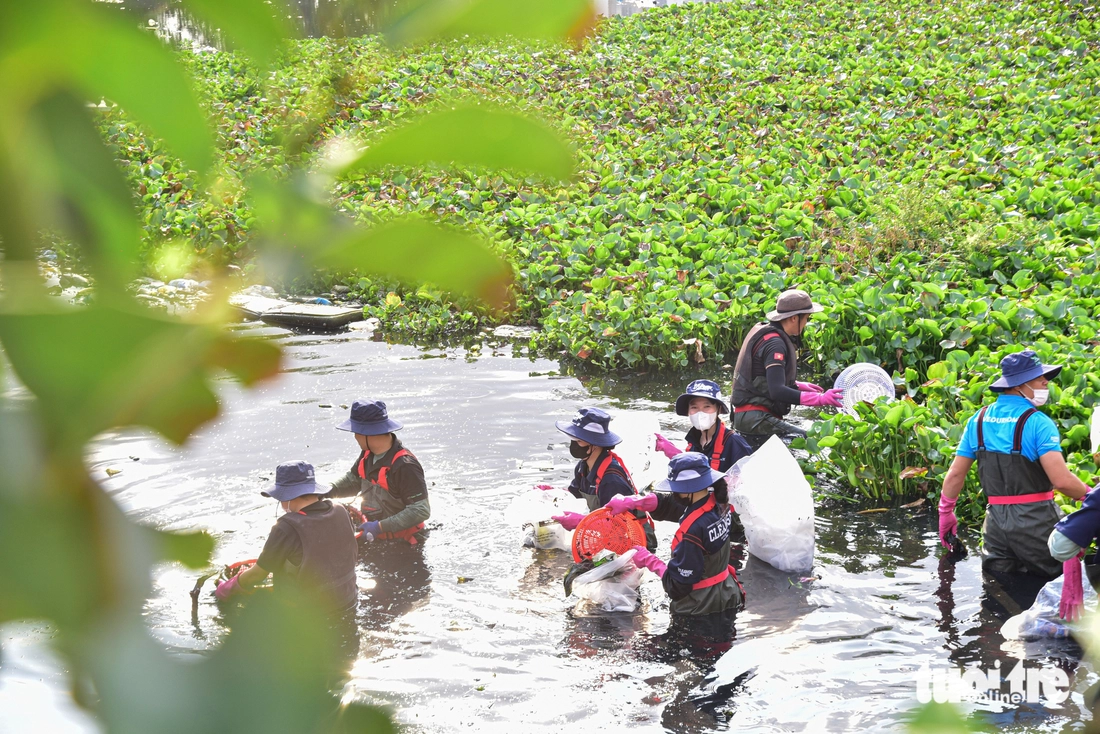 vớt rác - Ảnh 1.