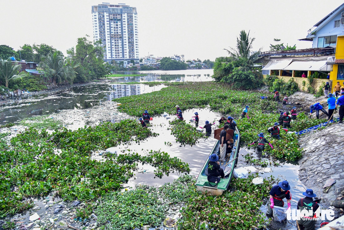 vớt rác - Ảnh 3.