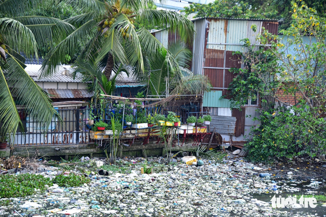 vớt rác - Ảnh 4.