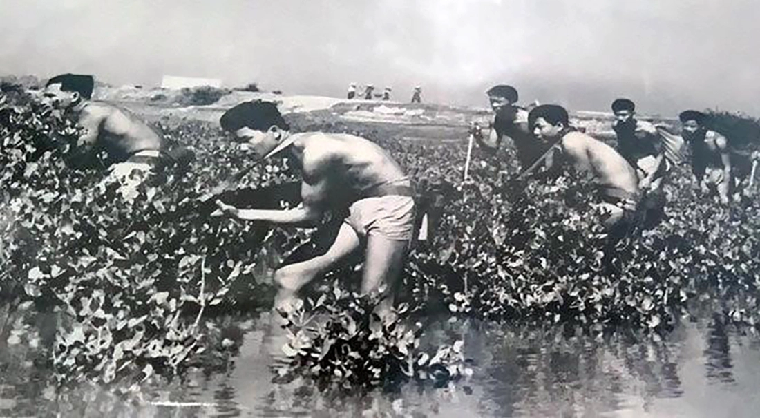 đặc công - Ảnh 2.