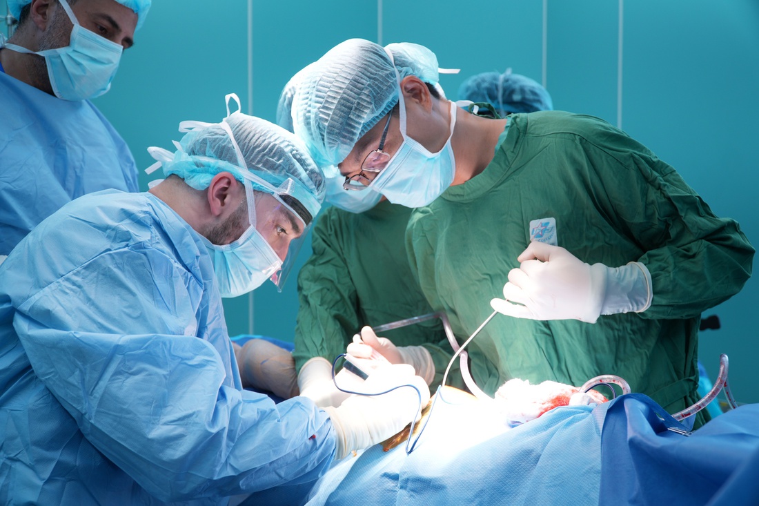 con nuôi - Ảnh 4.