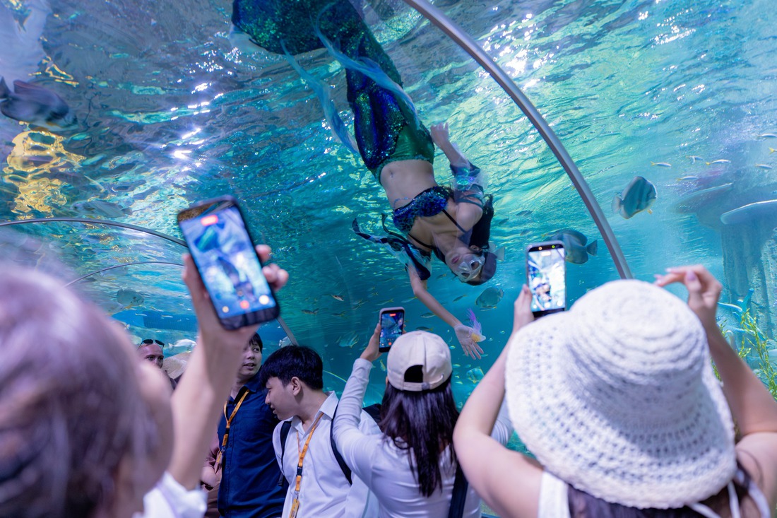 du lịch - Ảnh 2.