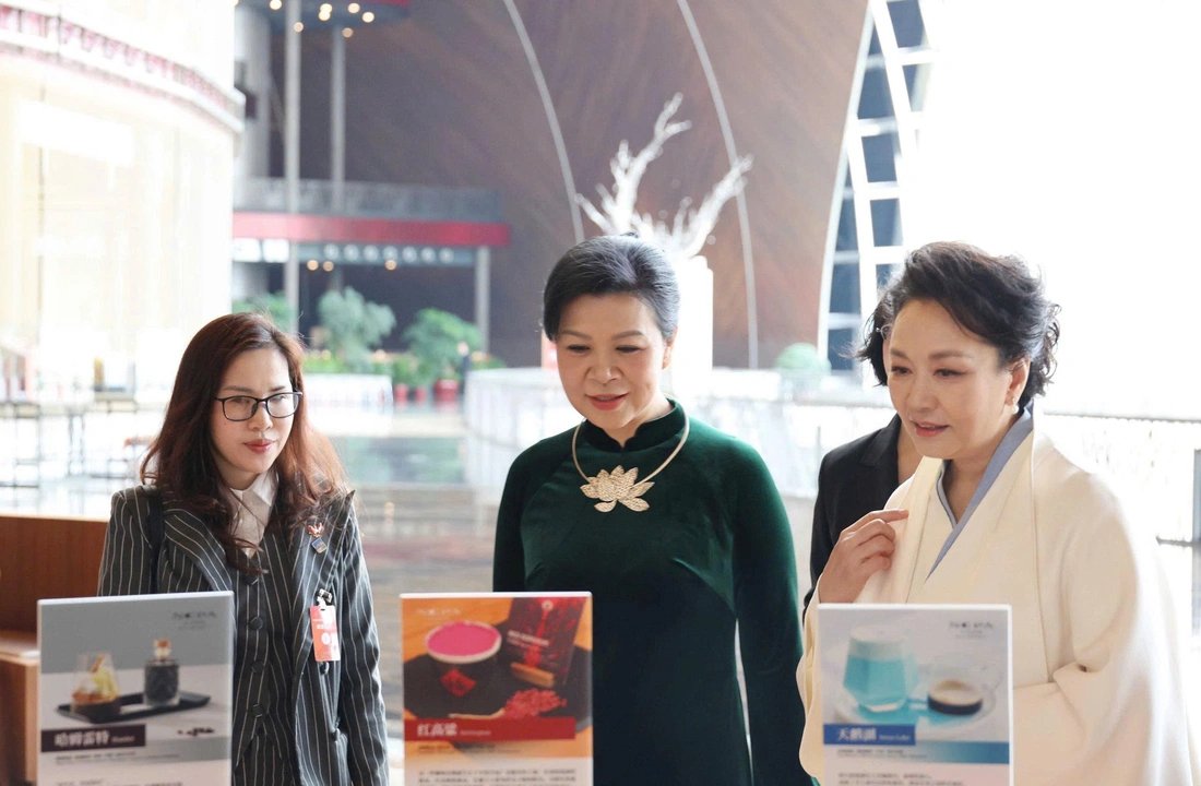 Phu nhân Ngô Phương Ly - Ảnh 3.