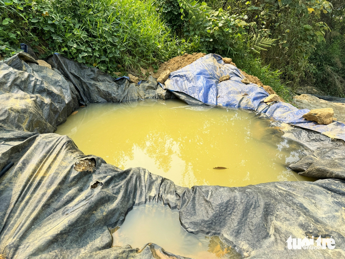 bãi vàng trái phép - Ảnh 13.