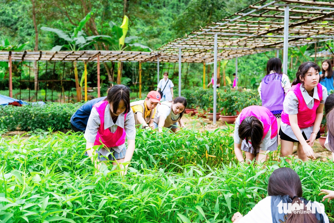 học sinh - Ảnh 3.