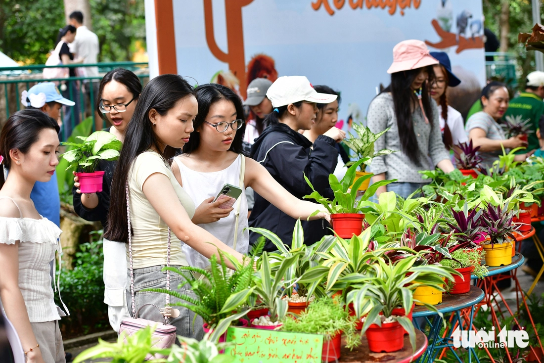 nhận cây xanh miễn phí - Ảnh 2.