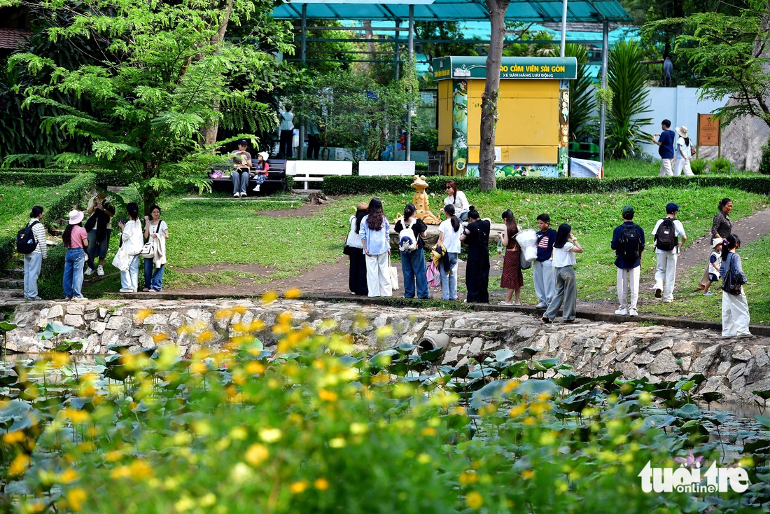 Sơn Tùng M-TP - Ảnh 3.