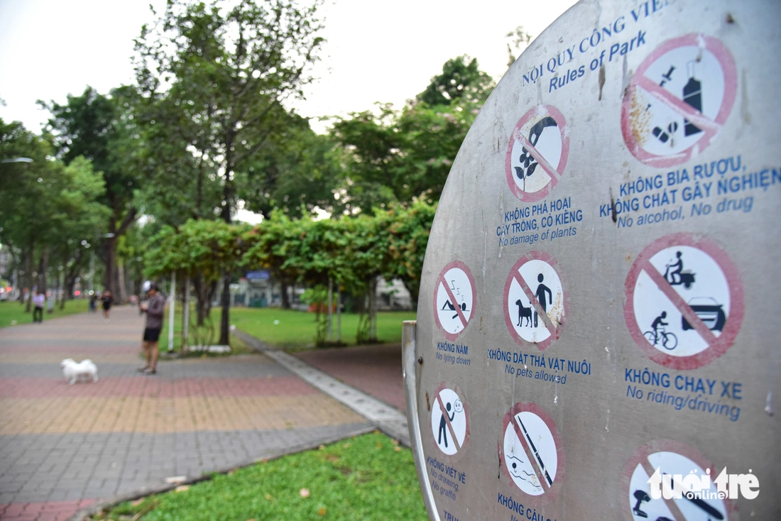 chó thả rông - Ảnh 2.