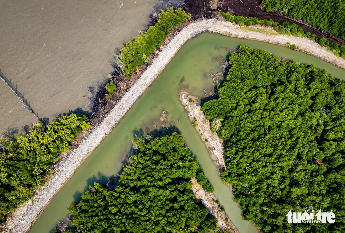 Cái Mép - Ảnh 2.