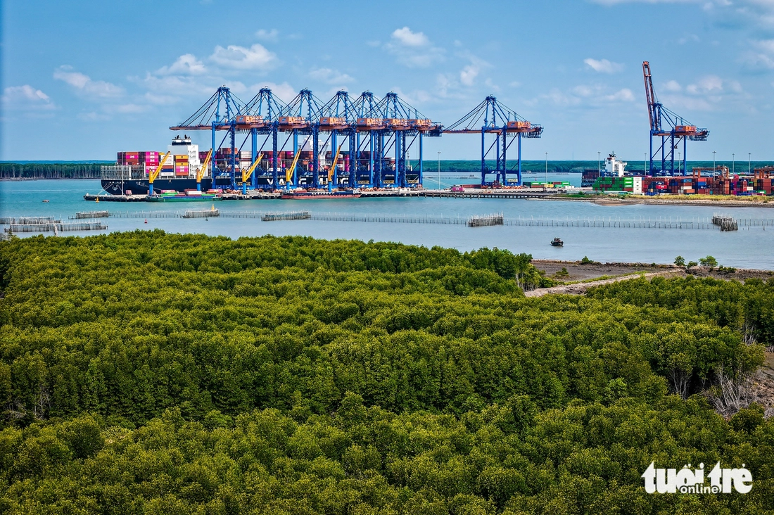 Flycam trên cù lao Phú Long ngắm toàn cảnh vị trí xây cảng container Cái Mép Hạ 50.200 tỉ đồng - Ảnh 4.