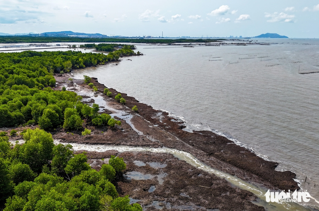 Cái Mép - Ảnh 5.