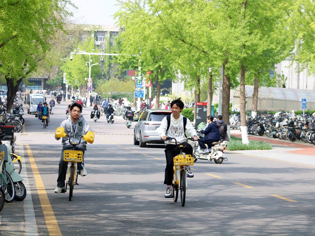 Dạo bước trong khuôn viên đại học xanh bậc nhất Trung Quốc - Ảnh 2.