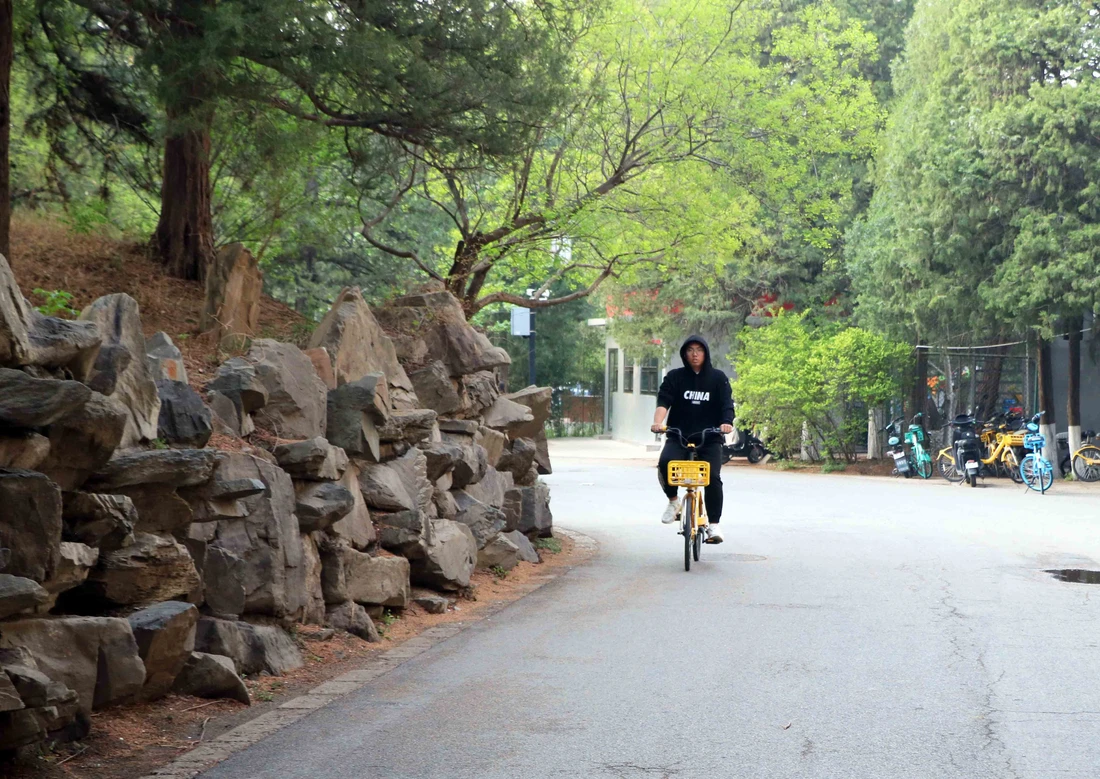 Dạo bước trong khuôn viên đại học xanh bậc nhất Trung Quốc - Ảnh 7.