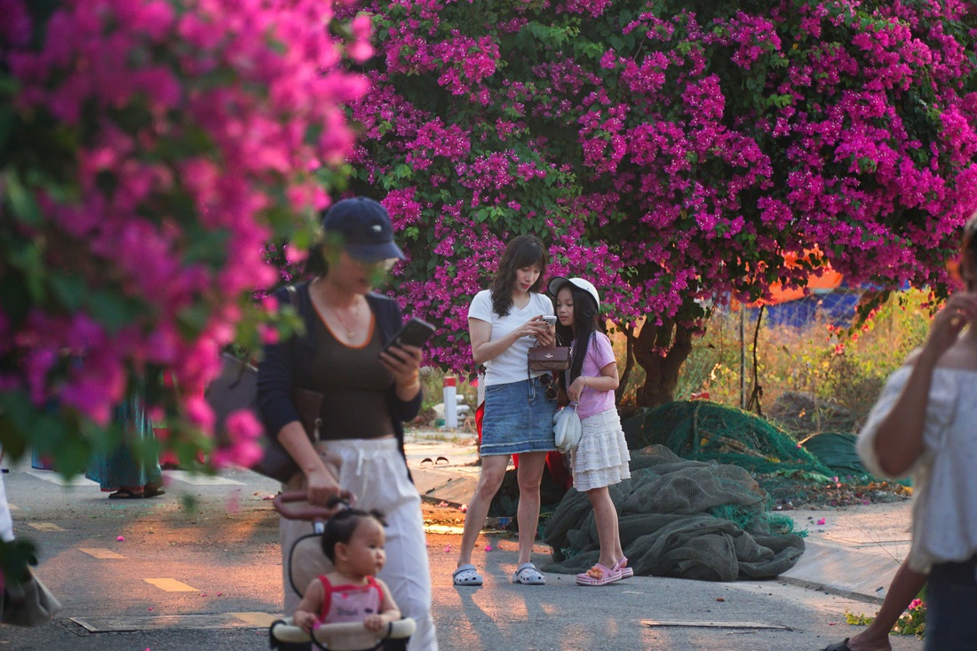 Nha Trang - Ảnh 2.