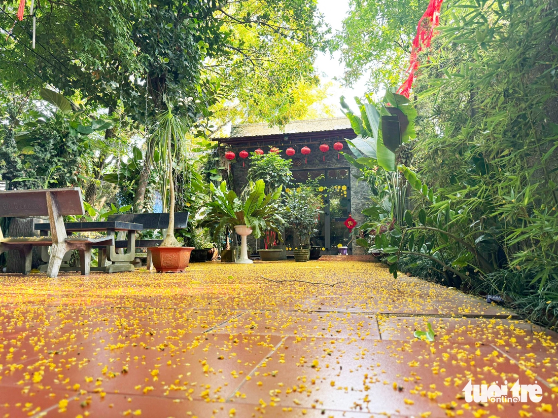 hoa sưa - Ảnh 14.