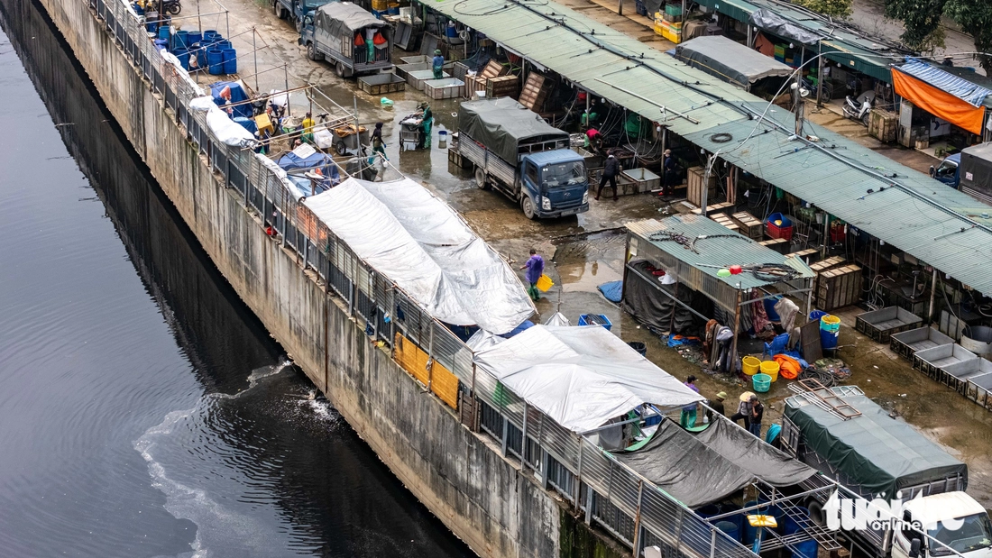 kênh La Khê - Ảnh 7.